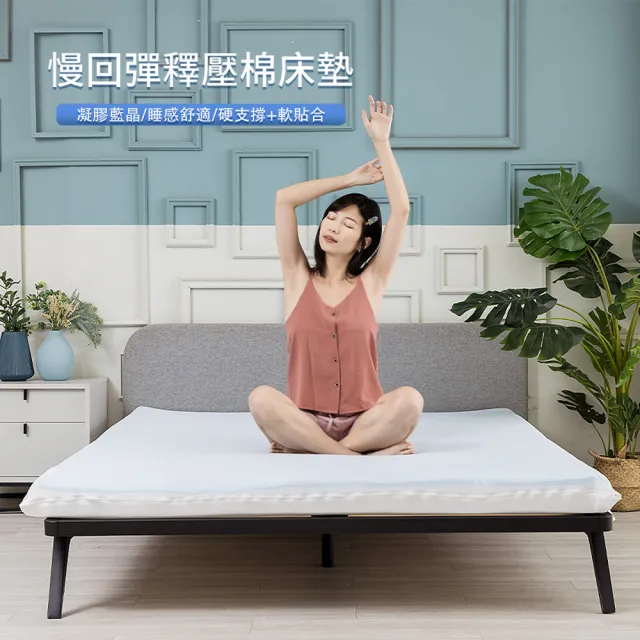 【Dr.dream】涼感記憶床墊 標準單人 10公分厚度(防螨抗菌 慢回彈 涼感記憶 床墊、單人床墊)