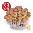 【盛花園蔬果】南投國姓鄉鴻喜菇120g x3包(溫控栽培_具蟹香風味)