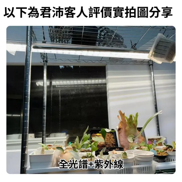 【JIUNPEY 君沛】2呎 25W 全光譜+UV紫外線 防水型LED植物燈管(植物生長燈 三防燈)