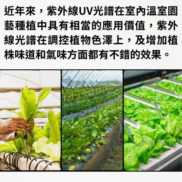 【JIUNPEY 君沛】2呎 25W 加強型光譜+UV紫外線 防水型LED植物燈管(植物生長燈 三防燈)