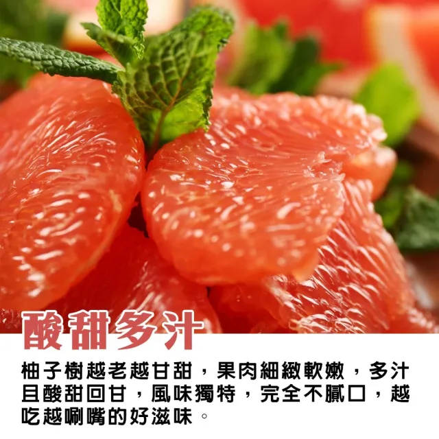 【momo獨家X台南麻豆李天寶】40年麻豆紅文旦10斤x1箱(5-8顆/箱_果農直配/產銷履歷/柚子)(中秋禮盒)