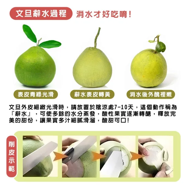 【momo獨家X台南麻豆李天寶】40年麻豆紅文旦10斤x1箱(5-8顆/箱_果農直配/產銷履歷/柚子)(中秋禮盒)