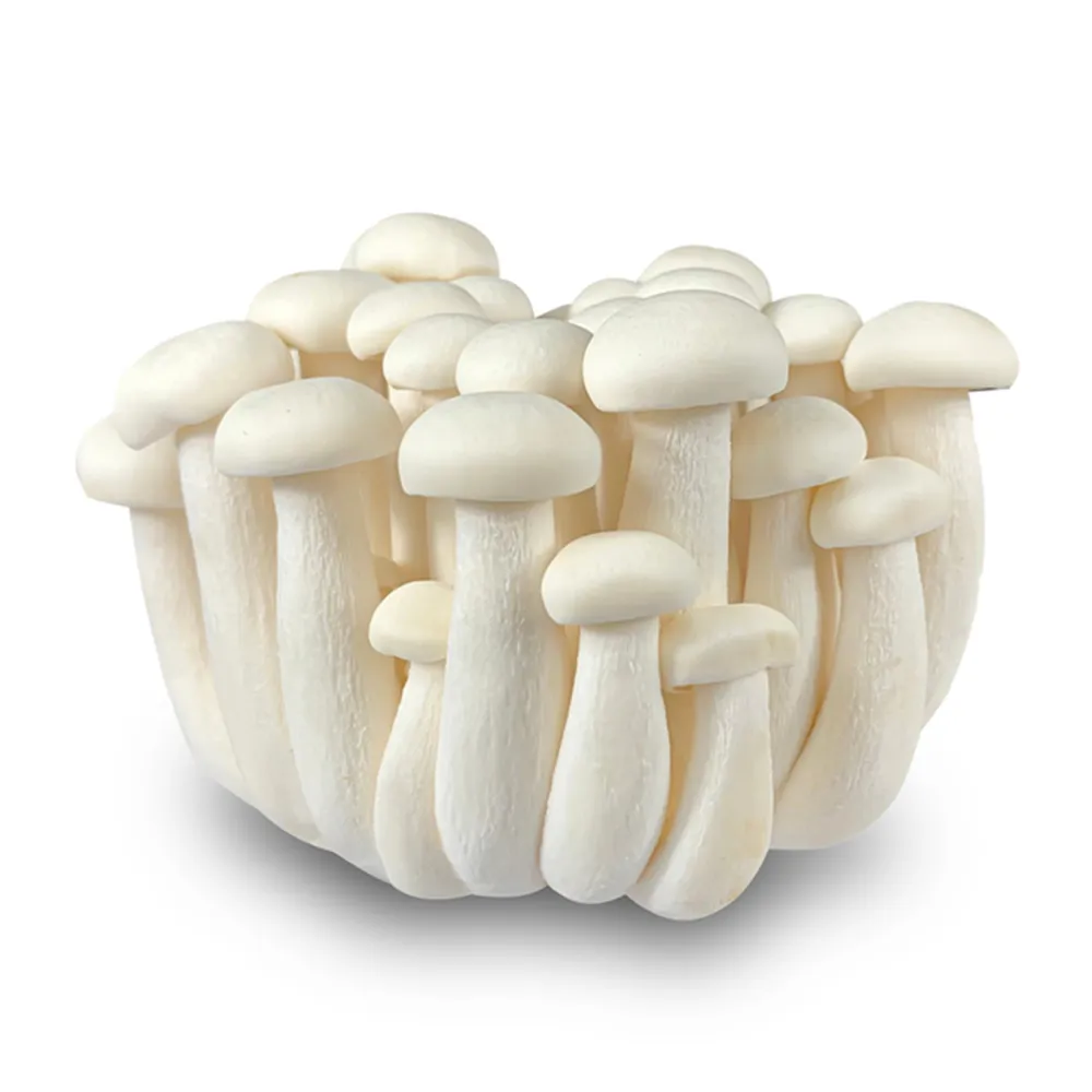 【盛花園蔬果】南投國姓鄉美白菇120g x6包(溫控栽培)