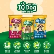 【IQ DOG】聰明狗乾糧 13.5-15KG(任選兩包)(狗飼料)