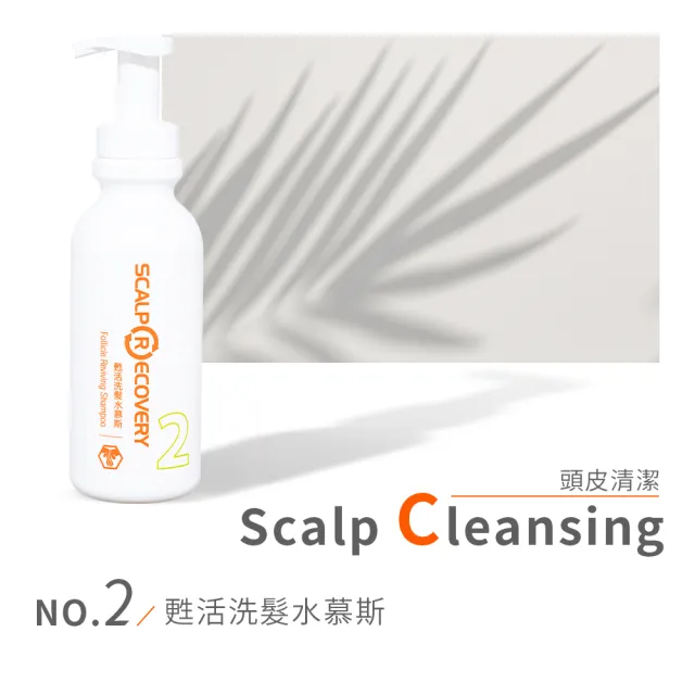 【髮基因】豐盈滋養調理套組(甦活洗髮水慕斯＋頭皮調理精華露＋控油平衡露)