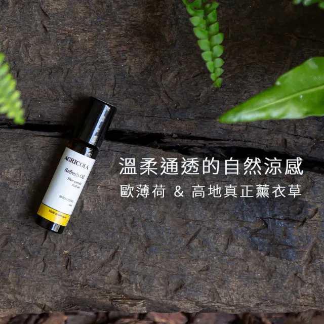 【Agricola 植物者】紫薄荷舒緩滾珠精油10ml x10入組(天然複方香氛 歐薄荷涼感精油棒)