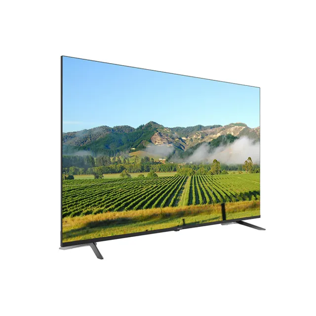 【Aiwa 日本愛華】65吋4K HDR Google TV 智慧聯網液晶顯示器(AI-65UD24)