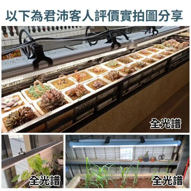 【JIUNPEY 君沛】三入組 50W 4呎全光譜植物燈管 防水型雙燈芯設計(植物生長燈 三防燈)