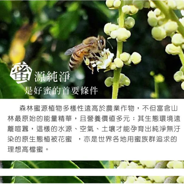 【情人蜂蜜】台灣天空森林蜜700gX3入