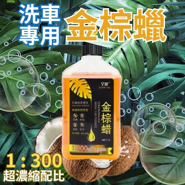 CHYUNYAO 6代 巴西金棕蠟洗車蠟1000ml 2入組