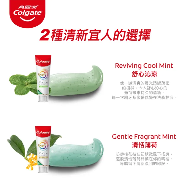 【Colgate 高露潔】全效抗牙菌斑牙膏95g(清恬薄荷/舒心沁涼)