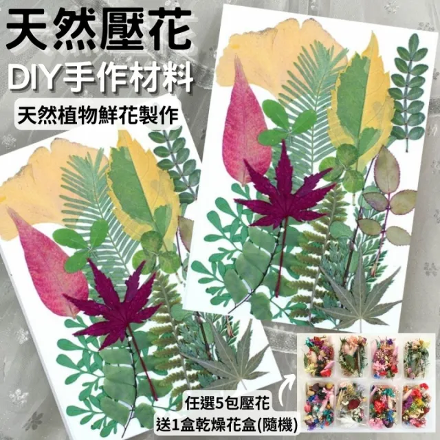 【A-ONE 匯旺】乾燥花材料盒 永生花材料 乾燥花不凋花 香薰蠟燭材料 浮油花 裝飾花 壓花