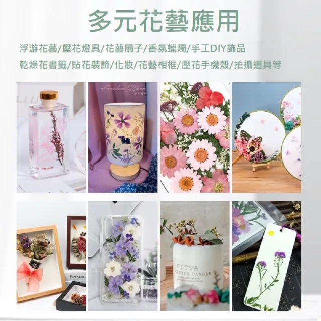 【A-ONE 匯旺】乾燥花材料盒 永生花材料 乾燥花不凋花 香薰蠟燭材料 浮油花 裝飾花 壓花