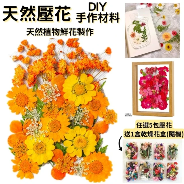 台北花苑 浪漫瑰麗永生花禮(恆星花 永生花 情人 生日送禮)