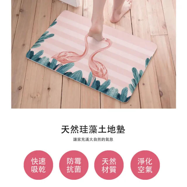 【收納王妃】台灣製造 原創系列 硬式珪藻土地墊 吸水 速乾 腳踏墊 浴室地墊 2入組(約 60x39x0.9cm)