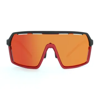 【ZeroRH+】PIUMA系列日本限定競賽款運動太陽眼鏡(消光黑/鋁光紅 RH0002_02)