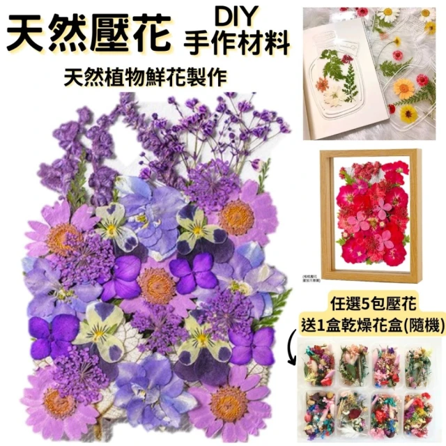 A-ONE 匯旺 真花壓花 乾燥花 拼貼 貼臉裝飾 新娘妝 少女寫真DIY 壓花材料包