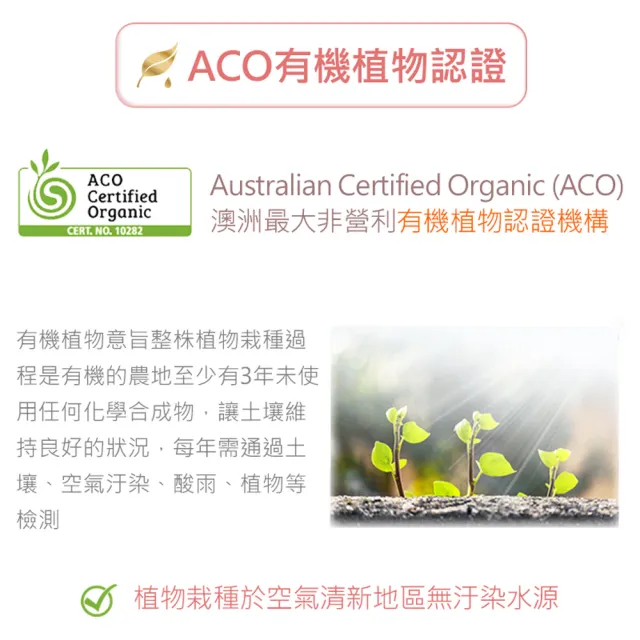 【ANDZEN 安得仁】ACO有機基底油160ml-山茶花油(按摩油保濕油)