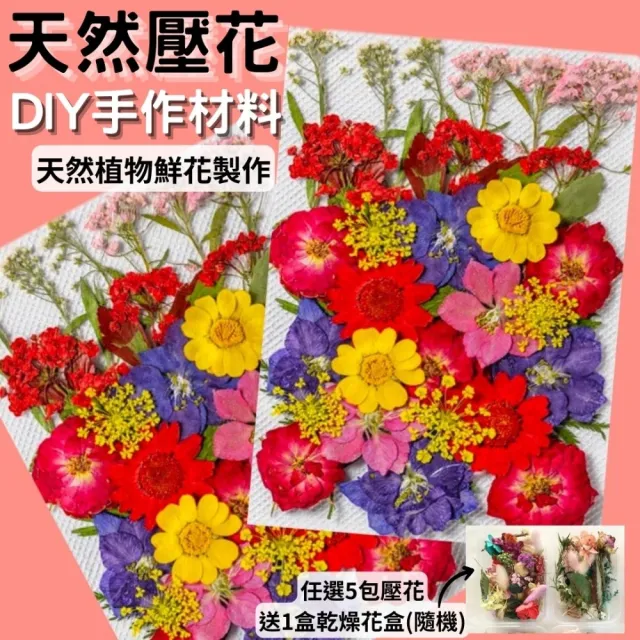 【A-ONE 匯旺】天然壓花 押花書籤 壓花材料包 乾燥花書籤 壓花DIY 樹葉書籤 乾燥花