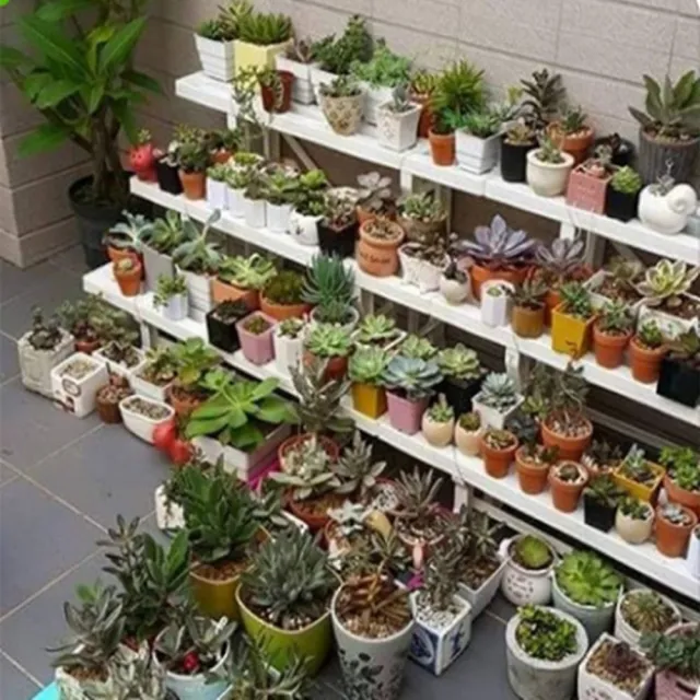 MIT 大園丁花架 多肉植物 三層架 塑膠架 園藝 展示架 花圃架 收納架 置物架 2106