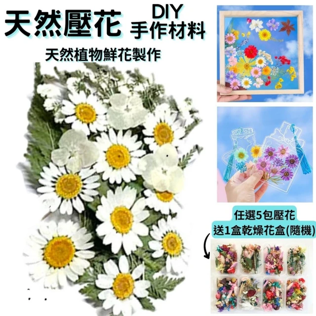 A-ONE 匯旺 超值乾燥壓花包 乾燥花材料包 DIY花材 花藝材料 乾燥花 永生花 香薰蠟燭花材料