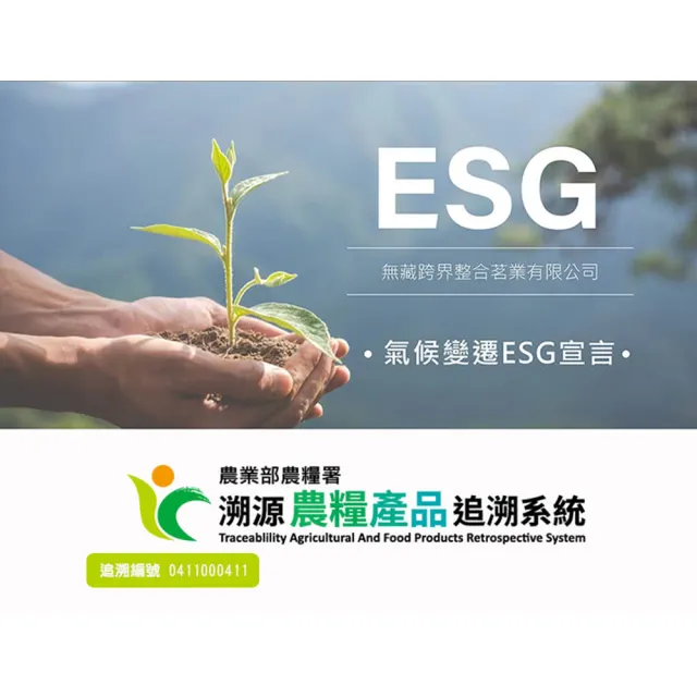 【無藏茗茶】茶葉禮盒-綜合茶食組 阿里山金萱烏龍散茶100g++DGI茶餅(1茶+1DGI茶餅/附提袋)