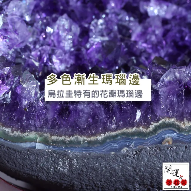 【開運方程式】紫晶洞l紫水晶洞豔紫開口笑錢袋子AGU680(3.2kg烏拉圭錢袋子)