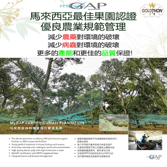 【Gold Thon】馬來西亞老樹蘇丹王榴槤果肉400克*1盒(真空貼體盒裝  清真認證)