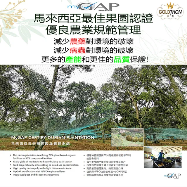 【Gold Thon】馬來西亞黑刺榴槤果肉盒裝400克*4盒(真空貼體盒裝  清真認證)