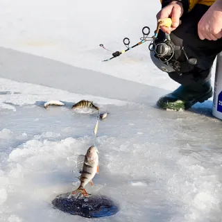 【首爾冰魚慶典5日ZE】冬季滑雪x華川冰魚慶典(小法國村 滑雪場渡假村 韓服體驗)