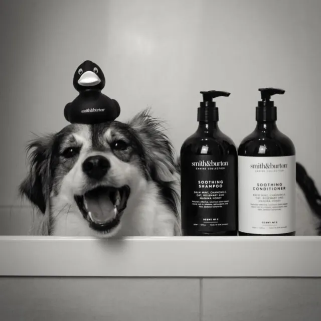 【smith&burton】寵物專用護毛乳250ml犬貓適用(不打結/寵物順毛/寵物養護/寵物潤絲/寵物沐浴/狗貓清潔)