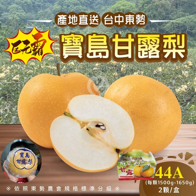 WANG 蔬果 拉拉山上海蜜水蜜桃10顆x2盒(1200g/