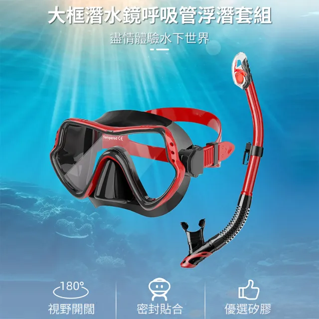 | BALIMAN情報局 【2026】潛水面罩推薦10款高評價潛水面罩品牌排行 | BALIMAN情報局