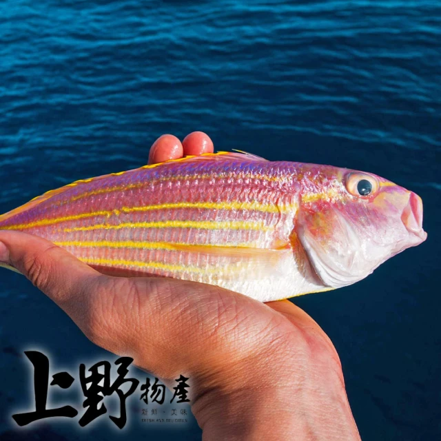 上野物產 10隻 黃花魚(300-360g±10%/2隻/包