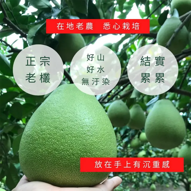 花蓮鶴岡60年老欉文旦禮盒10斤×2箱(9-15顆/箱_外銷等級_中秋禮盒_企業採購 柚子)