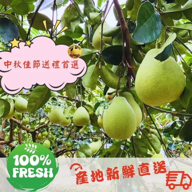 花蓮鶴岡60年老欉文旦禮盒10斤×2箱(9-15顆/箱_外銷等級_中秋禮盒_企業採購 柚子)