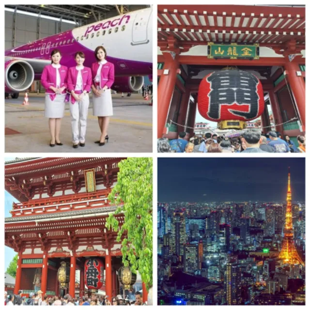 【東京四日計畫票】樂桃航空09-03月指定日期(早早去晚晚回含行李託運/含稅純機票)