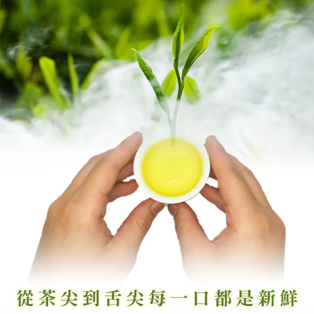 【惠鑽銓】台灣特採高山當季烏龍茶葉150g*8盒(共2斤)