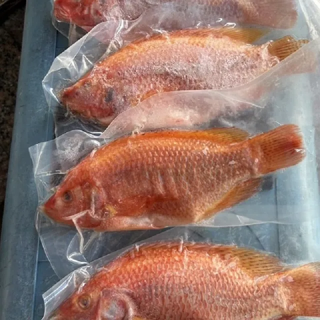 【SunFood 太禓食品】鯛魚饕客驚喜推薦 蝦紅素鯛魚X2(600g/隻)