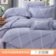 【貝兒居家寢飾生活館】60支100%蘭精萊賽爾天絲兩用被床包組 裸睡系列 B款(雙人/加大  均一價) 涼被/冷氣毯