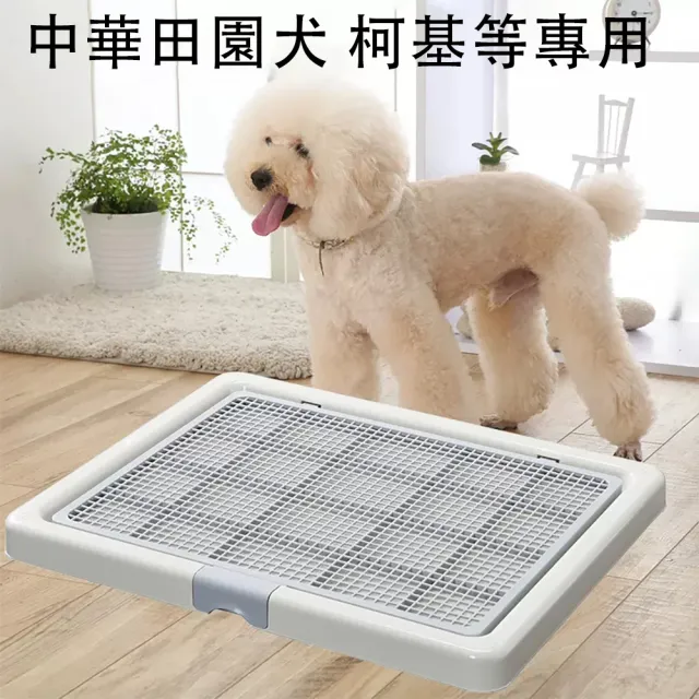 【巧可】掀開式大號狗廁所 寵物尿盆 狗便盆 寵物便盆 防賤狗廁所