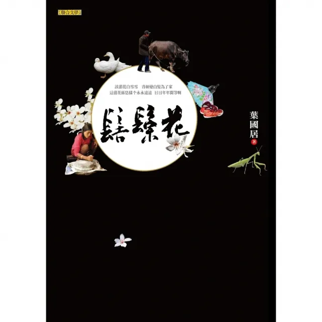 【momoBOOK】髻鬃花(電子書)