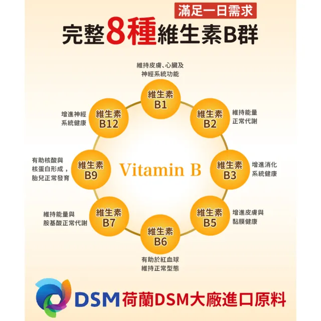 【悠活原力】原力緩釋維生素B群 緩釋膜衣錠 x3盒(60粒/瓶 共180粒 吳淡如真情推薦)