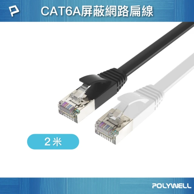 POLYWELL CAT6A 高速網路扁線 /2M