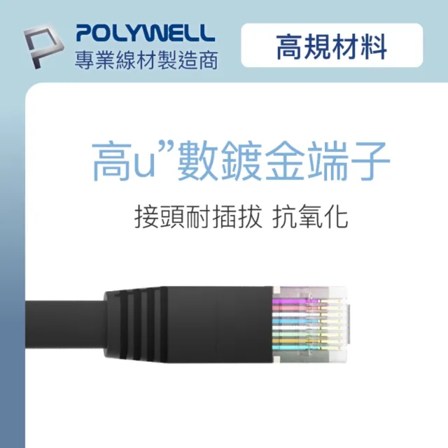 【POLYWELL】CAT6A 高速網路扁線 /2M