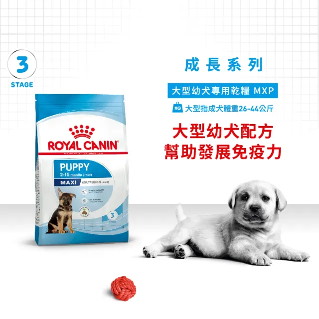 【ROYAL 法國皇家】大型幼犬專用飼料MXP 15KG(狗乾糧 狗飼料)