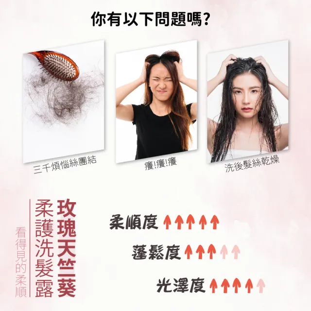 【AUS LIFE 澳思萊】玫瑰天竺葵柔護洗髮露500mlX3(洗後絲滑柔順 散發玫瑰香氛)