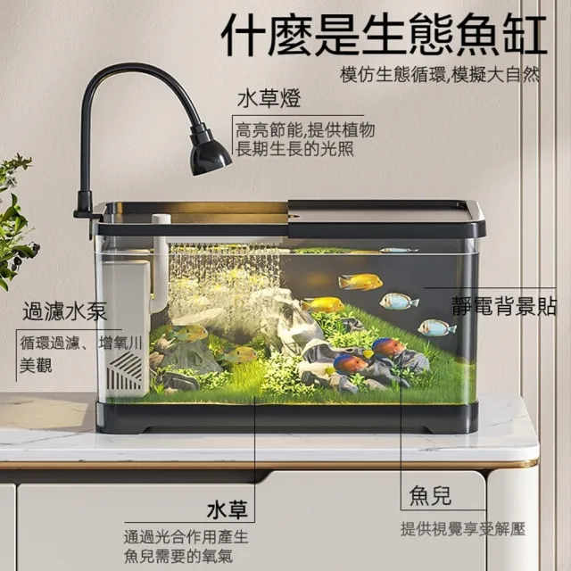 【星優】桌上型靜音生態魚缸 升級款(免換水魚缸/桌面魚缸/小型魚缸/懶人魚缸/小魚缸/桌上缸/魚缸水族箱)