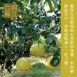 【e果園】台南麻豆40年老欉特A選大白柚10台斤/箱x2箱-柚子(約4-5大顆/箱x2箱)
