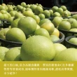 【e果園】台南麻豆40年老欉特A選大白柚10台斤/箱x2箱-柚子(約4-5大顆/箱x2箱)
